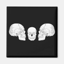 Skull Trio Fridge Magnet