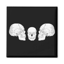 Skull Trio Fridge Magnet