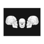 Skull Trio Postcards