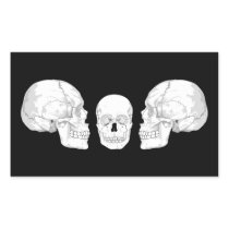 Skull Trio Rectangular Stickers