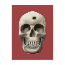 Skull with Bullet Hole Post Cards