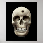 Skull with Bullet Hole Print