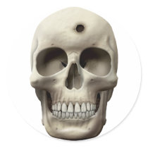 Skull with Bullet Hole Stickers