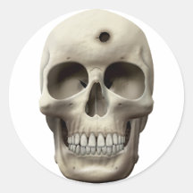 Skull with Bullet Hole Stickers