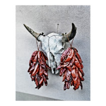 Skull with Ristras Poster posters by EarthSmiles Skull with Ristras Poster posters