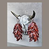 Skull with Ristras Poster posters