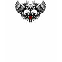skull with wings tshirt