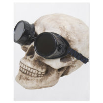 SkullGoggles073109 flyers