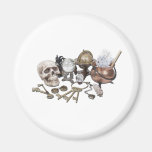 SkullKeysWitchDeskItems070111 Magnet