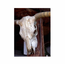 Skulls Bones Horns Cows photo sculptures by lifesphere Skulls Bones Horns Cows photo sculptures