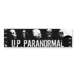 Skulls - Bumper Sticker