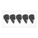 Skulls-for-Cafe-Press5 Photo Greeting Card