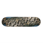 Skulls in Mount Sinai, Middle East Skate Board