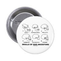 Skulls Of Our Ancestors (Six Skulls Evolution) 2 Inch Round Button