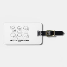 Skulls Of Our Ancestors (Six Skulls Evolution) Luggage Tags