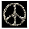 Skulls Of Peace posters