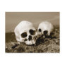 Skulls on the Punuk Islands shore, Bering Sea Post Card