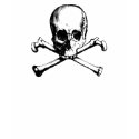 skulls t-shirts