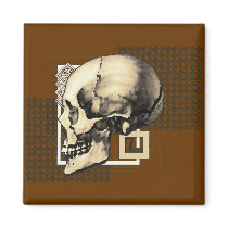 Skully magnets