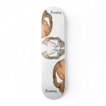 skully sbc t pic 201, skully sbc t pic 200, sku... skateboards