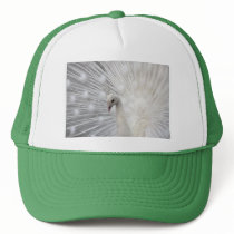 Skully Top Fun Trucker Hat