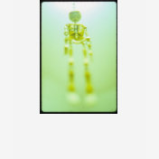 Skully