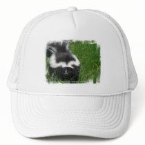 Skunk Baseball Hat