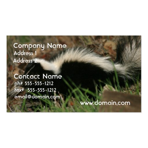 Skunk Behavior Business Card (front side)