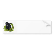 Skunk Bumper Sticker