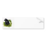 Skunk Bumper Sticker