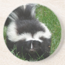 Skunk Coasters