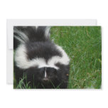 Skunk on an Invitation