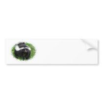 Skunk Photo Bumper Sticker