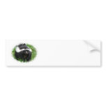 Skunk Photo Bumper Sticker