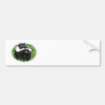 Skunk Photo Bumper Sticker