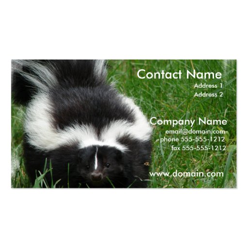 Skunk Photo Business Card