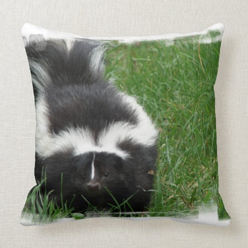 Skunk Pillow