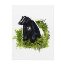 Skunk Postcard