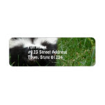 Skunk Return Address Label