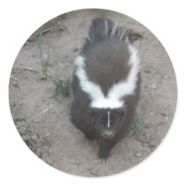 skunk stickers by pinkypetals skunk stickers