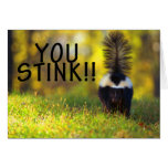 Skunk You Stink Greeting Cards