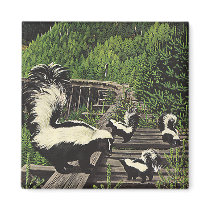 Skunks Fridge Magnet
