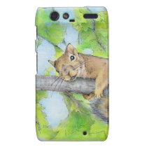 SKWIRL casemate cases