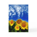 Sky and Bloom , card by GinaSignore Sky and Bloom , card
