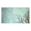 Sky and tree profile cards business cards