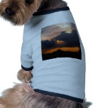 sky  cloud  sunset dog clothes
