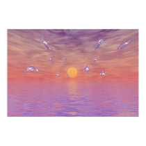 Sky Dolphins:  Migration #1 posters