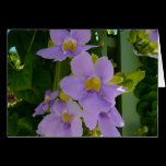 Sky Flower Vine Card