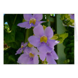 Sky Flower Vine Card