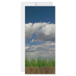 sky, grass, bricks custom rack cards